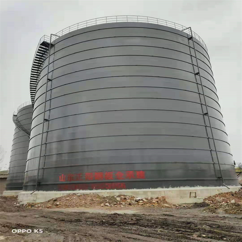 通渭3万吨大型钢板库