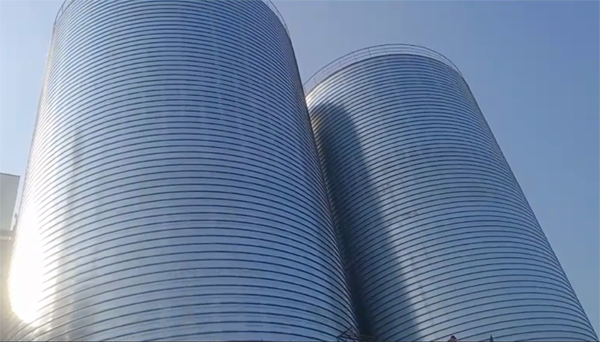 通渭2座混凝土高架卷板仓